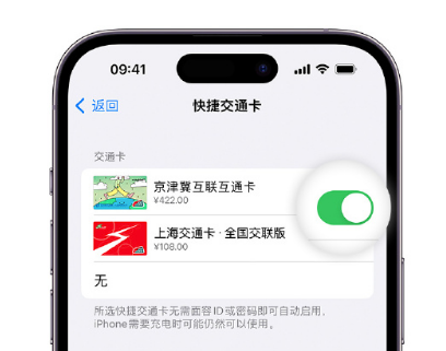 六合apple维修点分享iPhone上更换Apple Pay快捷交通卡手绘卡面 