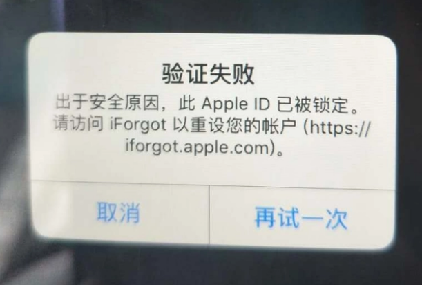 六合iPhone维修分享iPhone上正常登录或使用AppleID怎么办 