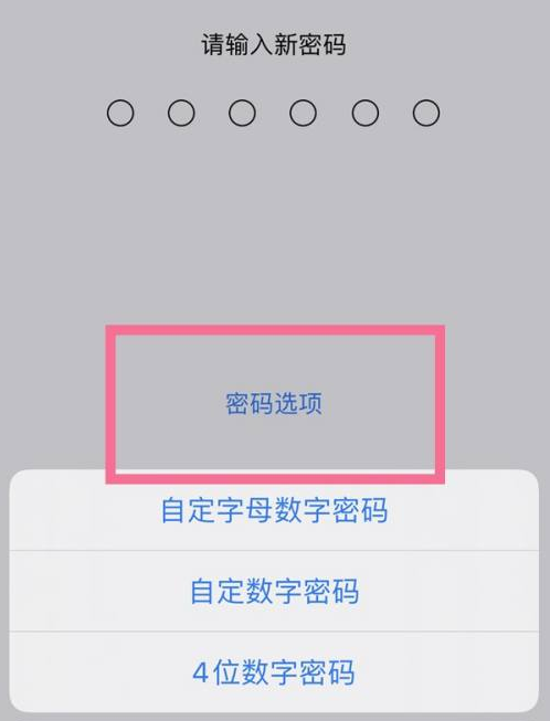 六合苹果14维修分享iPhone 14plus设置密码的方法 