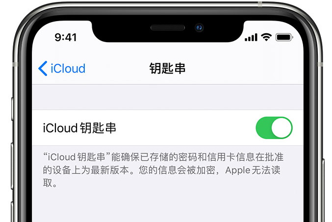 六合苹果手机维修分享在 iPhone 上开启 iCloud 钥匙串之后会储存哪些信息 