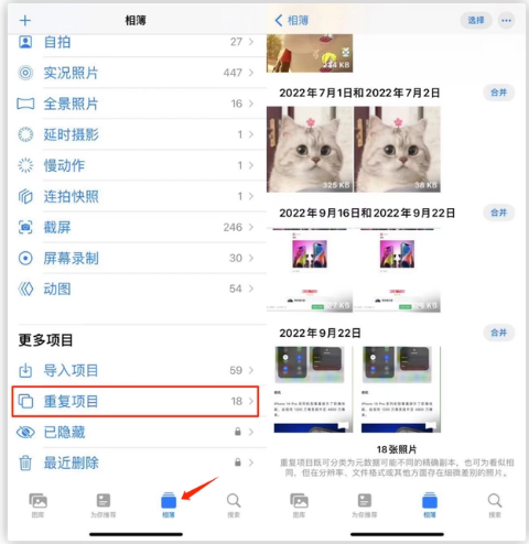六合苹果手机维修分享iOS 16 中相册重复项目功能使用方法 