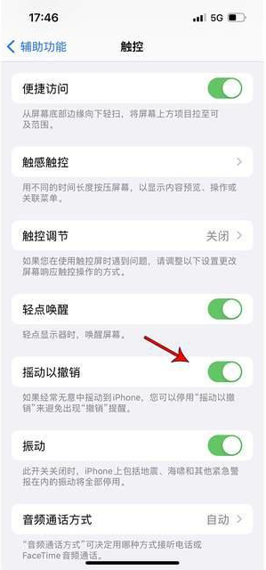 六合苹果手机维修分享iPhone手机如何设置摇一摇删除文字 