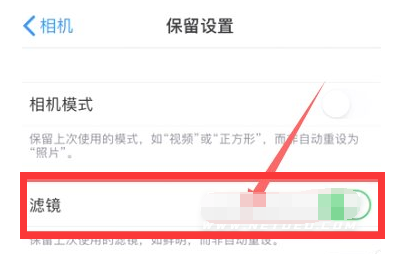 六合苹果13维修分享iPhone13拍照有绿点是怎么回事 
