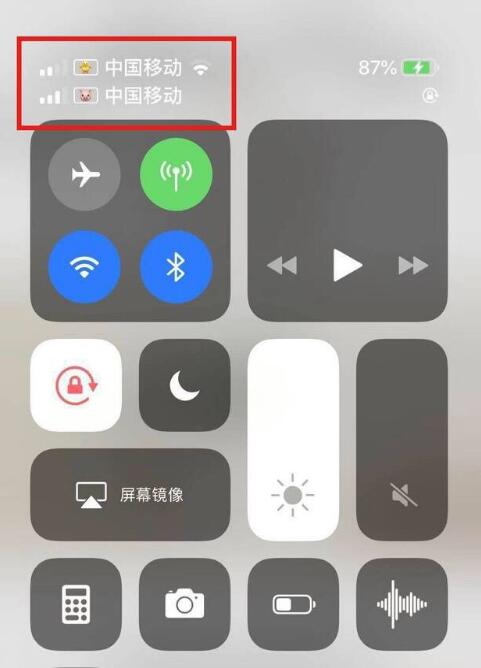 六合苹果手机维修分享为 iPhone 12 双卡设置标签 